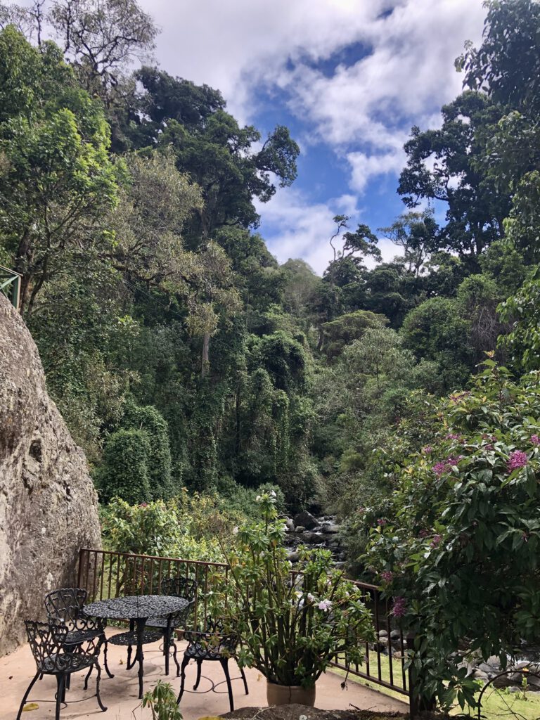 Omgeving van de lodge in San Gerardo de Dota